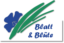 Blatt & Blüte