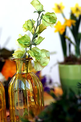 Ihr Blumenfachgeschäft für Blumen, Schnittblumen, Topfblumen, Hochzeitsfloristik, Trauerfloristik in Bad Sassendorf