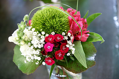 Ihr Blumenfachgeschäft für Blumen, Schnittblumen, Topfblumen, Hochzeitsfloristik, Trauerfloristik in Bad Sassendorf